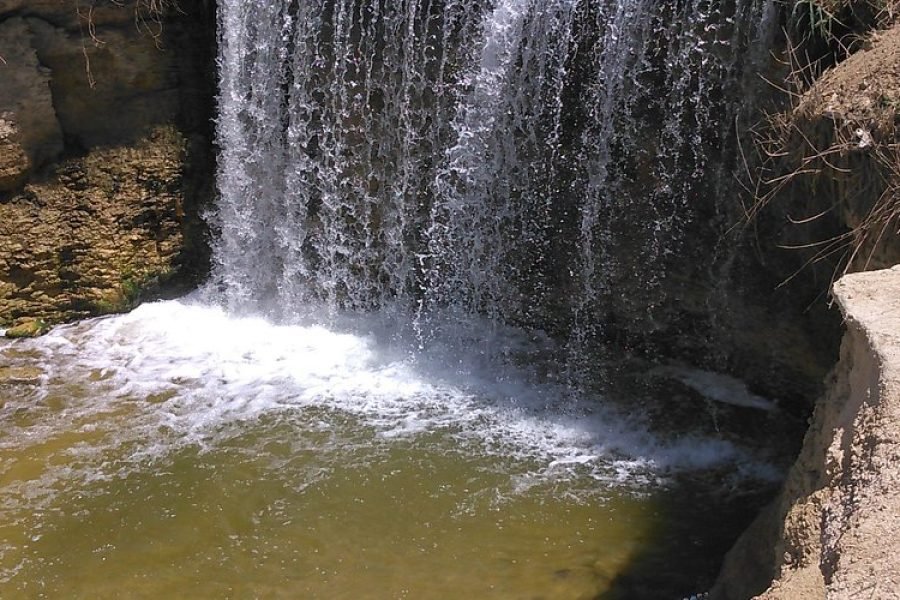 Day Tour to El Fayoum From Cairo